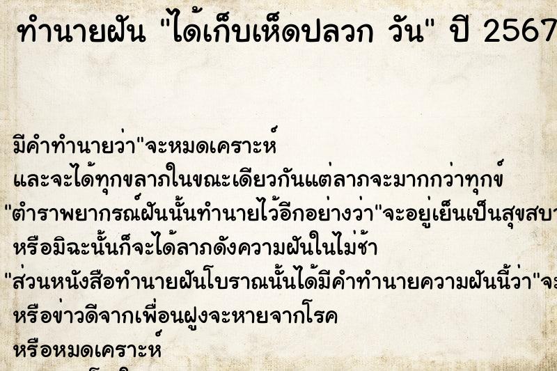 ทำนายฝัน ได้เก็บเห็ดปลวก วัน